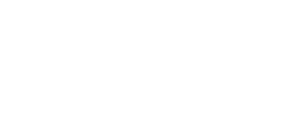 Twin Grizzly logo white